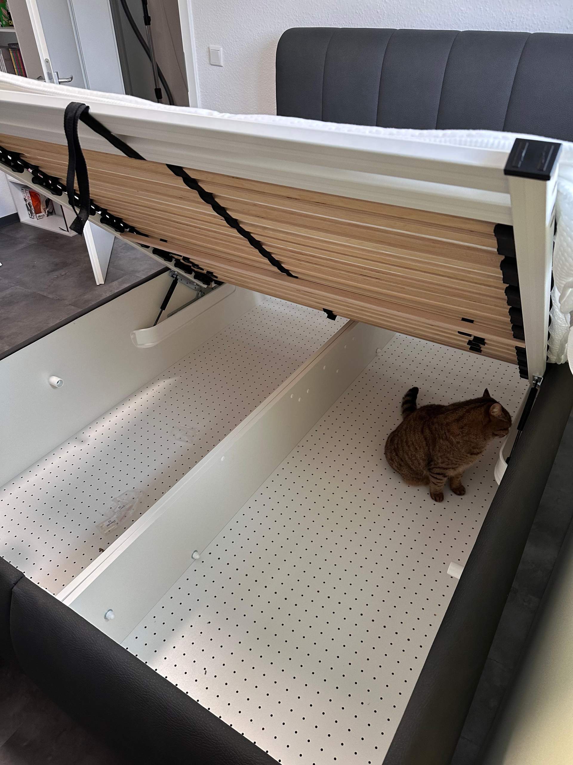 unterhosen aufbewahren AiQInu BH Organizer Aufbewahrungsbox,7 Zellen Faltbare Schubladen Organizer für BH,Kleiderschrank Schublade Divider Unterwäsche Organizer zum von BHs,Socken und Krawatten Küche, Haushalt & Wohnen Ich muss alle Belege biologisch abbaubar Personalisierung:Ohne Personalisierung