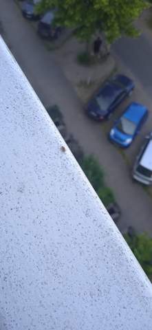 Bild zum Beitrag