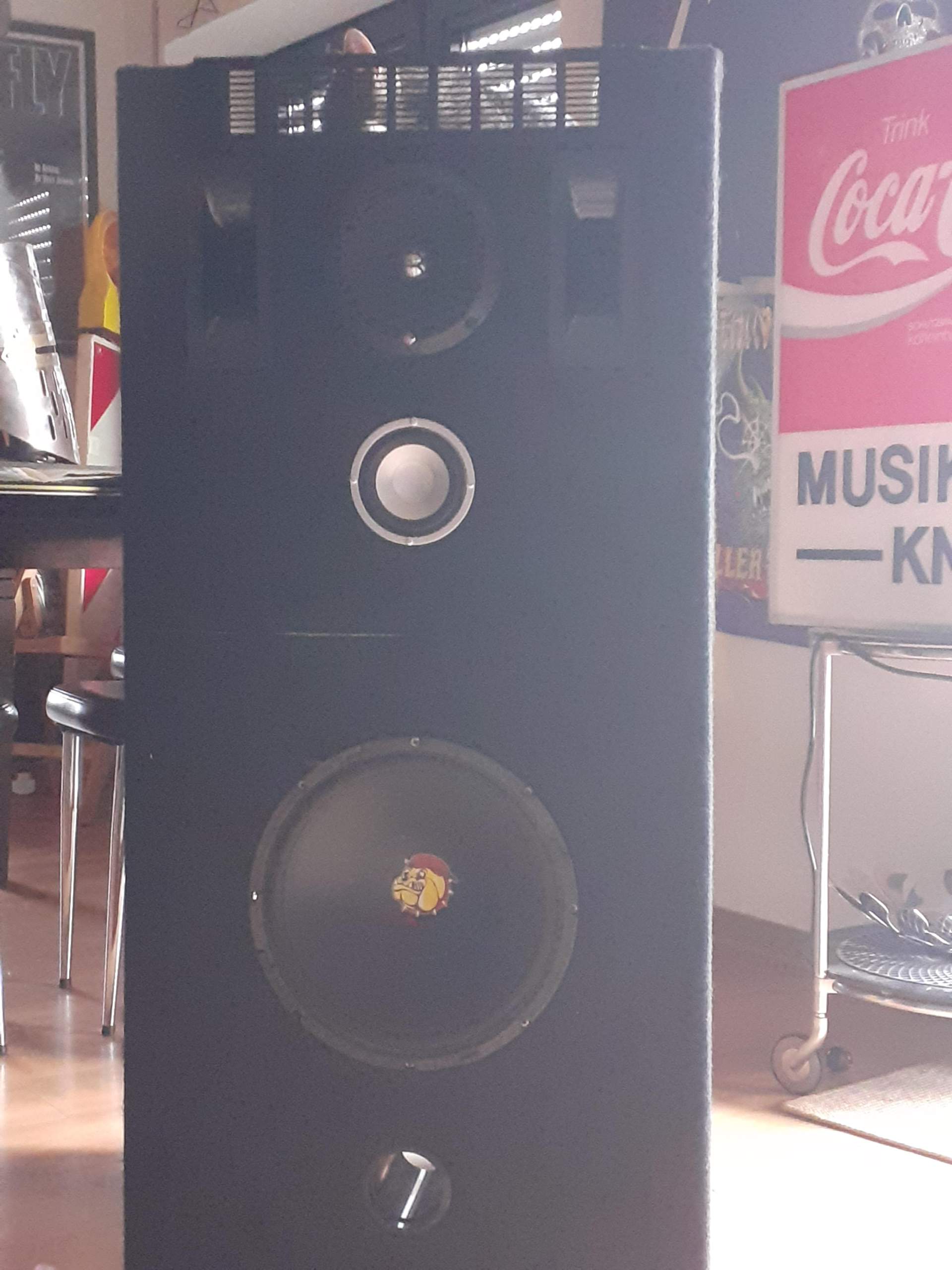 Lautsprecher mit verschiedenen Watt Zahlen? (Sound, Audio, Boxen)