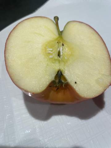 [Lebensmittel] Ist das hier Schimmel im Gehäuse des Apfels?