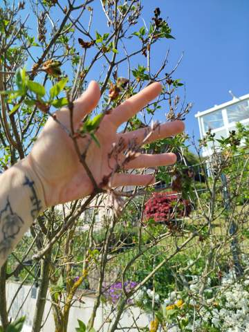 Bild zum Beitrag