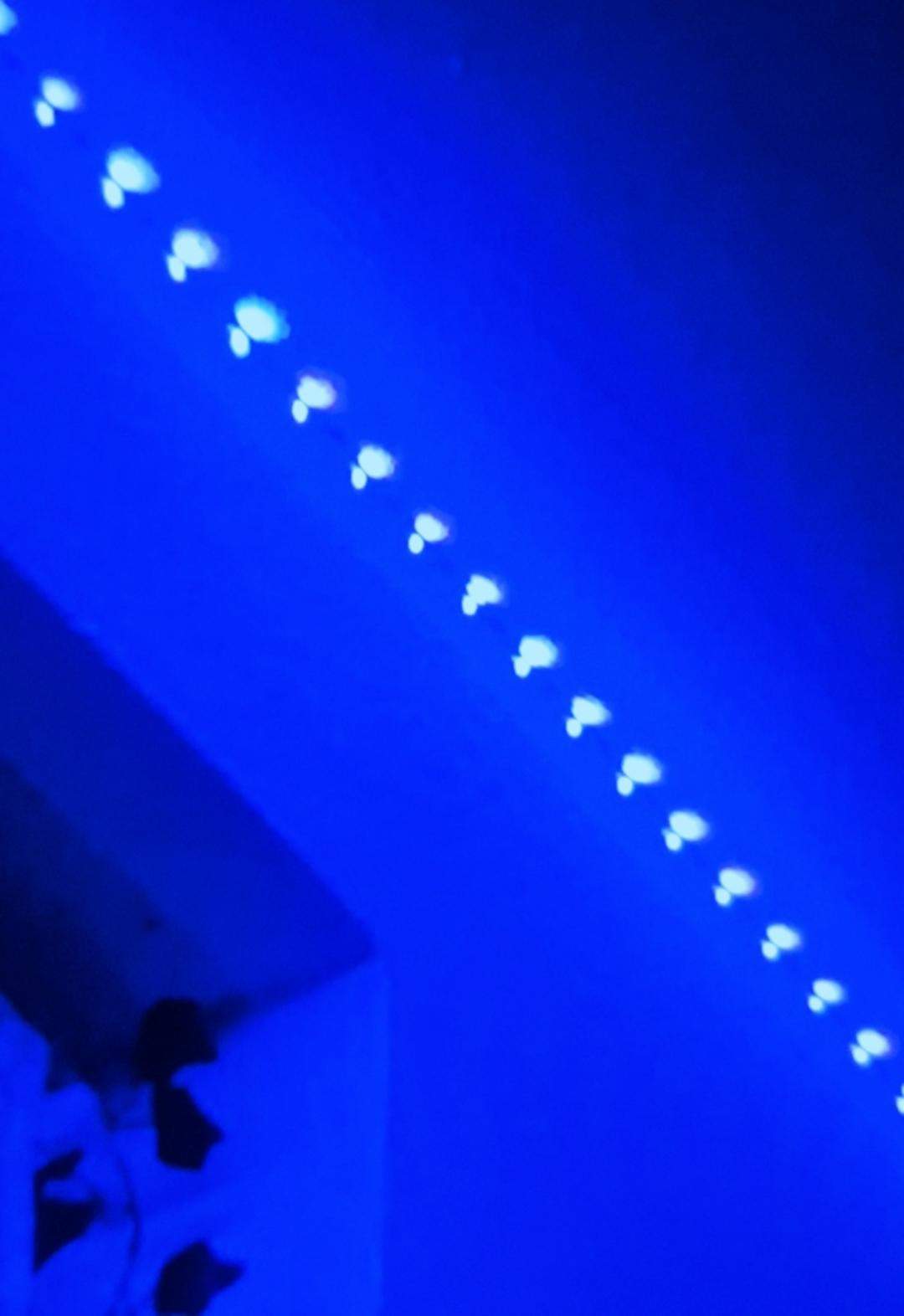 LED Lichter? (Elektrik, Licht)