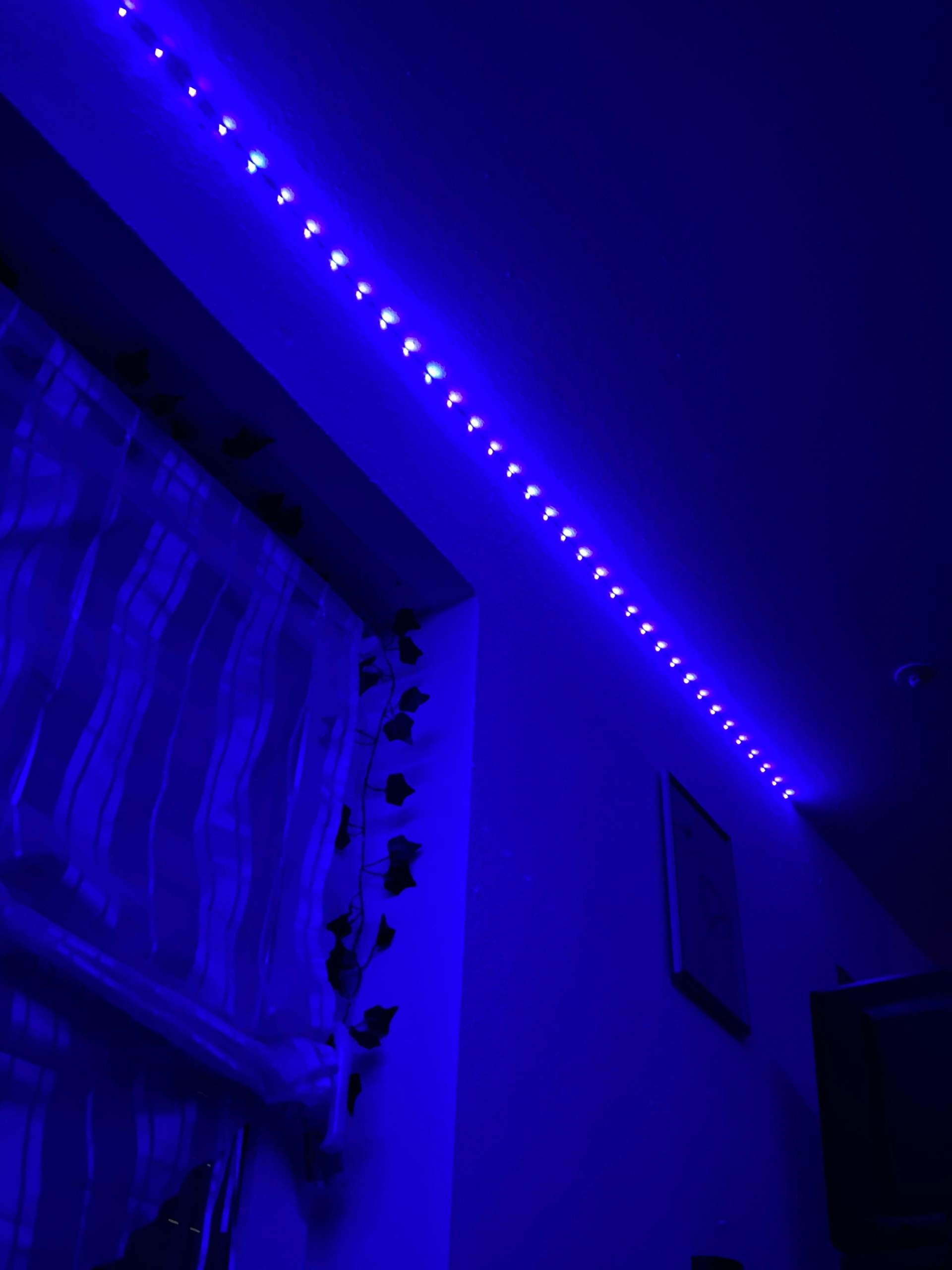 LED Lichter in der Nacht? (Licht)