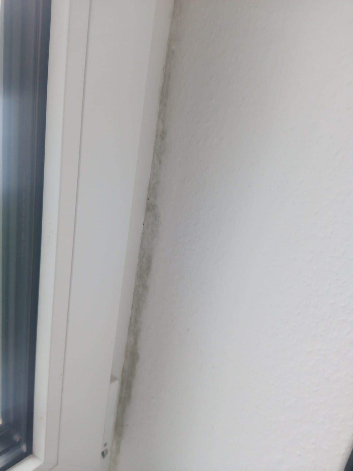 Leichter Schimmel im Schlafzimmerfenster zur Außenwand, Ursache ...