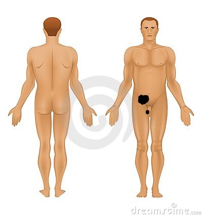 Leiste Unterbauch Richtung Hoden Schmerzen Beschreibung Sport Arzt Manner Leiste Unterbauch Richtung Hoden Schmerzen Beschreibung Sport Arzt Manner