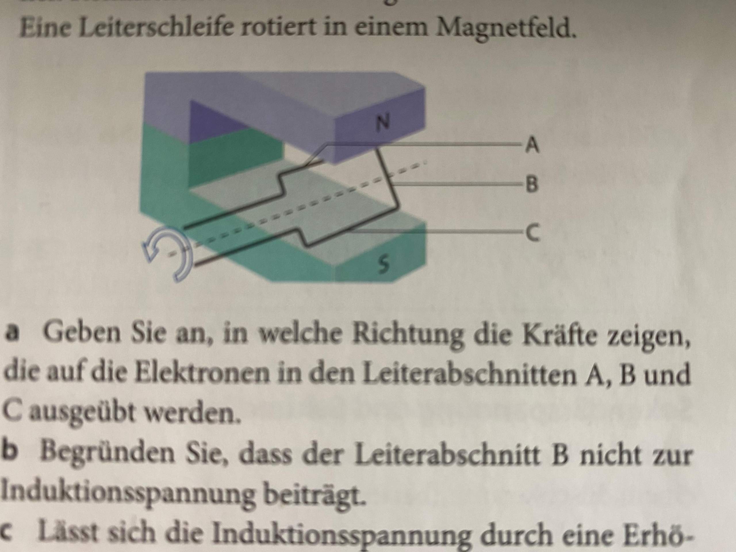 Leiterschleife Richtung der Kräfte? (Physik, Kraft, Spannung)
