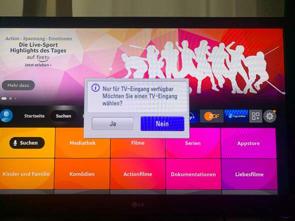 LG Fernseher TV-Eingang Anzeige geht nicht weg, was tun?
