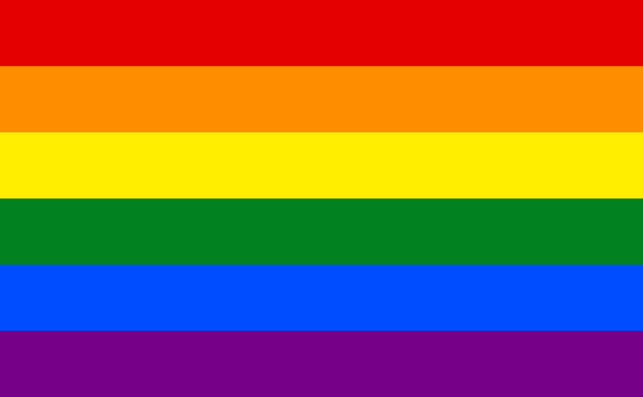 LGB oder LGBTQIA*? (Sexualität, LGBT+, Regenbogenflagge)
