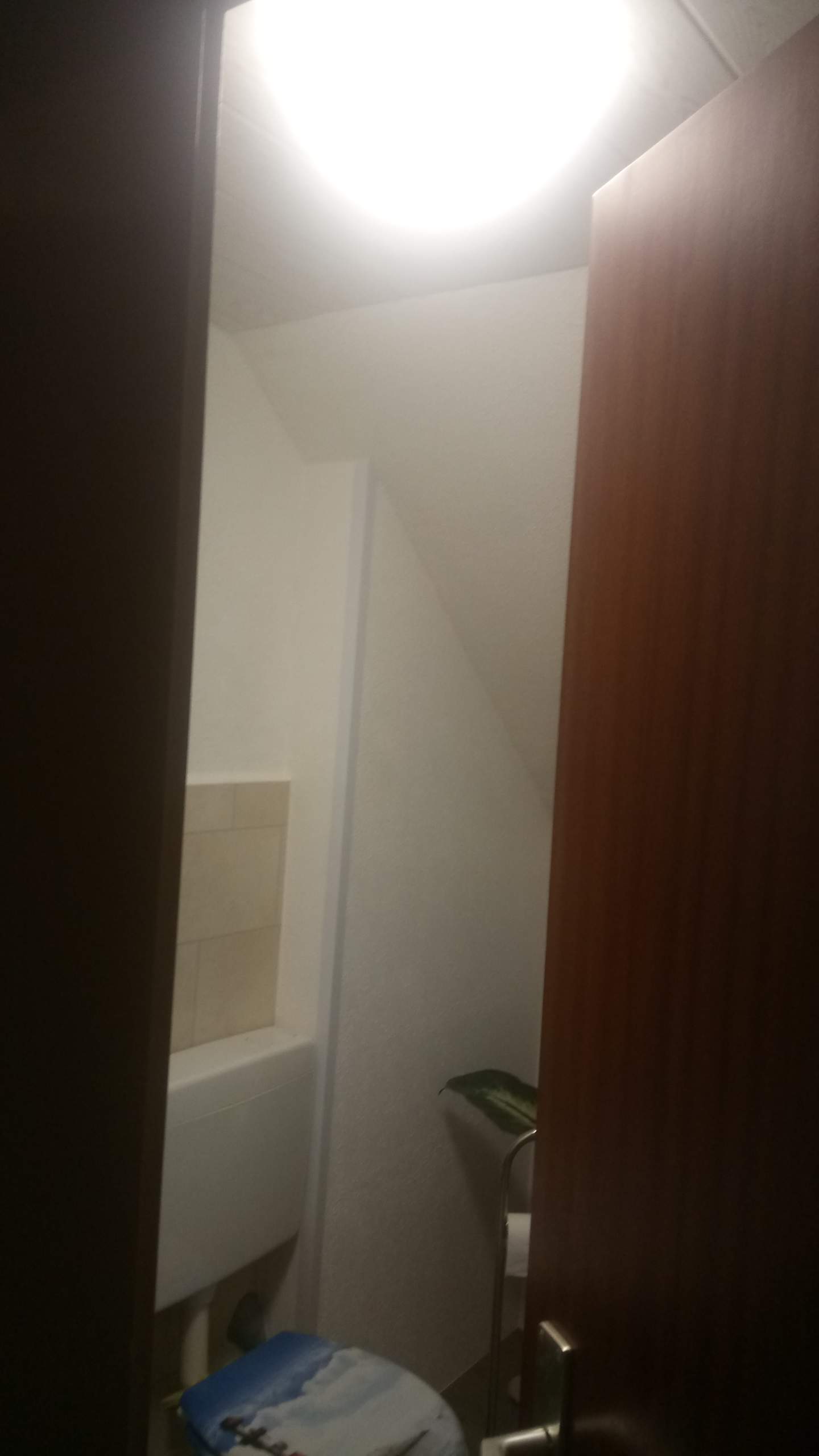 Licht geht nicht aus? (Technik, Technologie, Badezimmer)