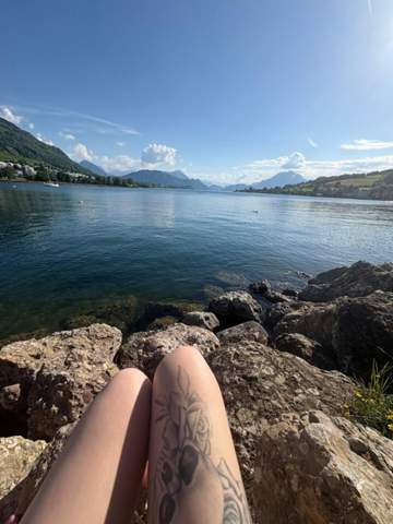 Bild zum Beitrag