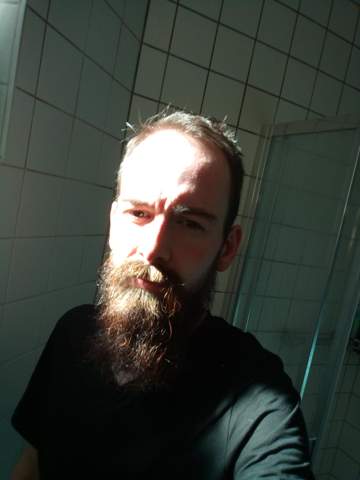 Bild zum Beitrag