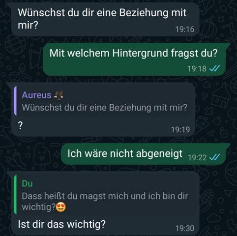 Bild zum Beitrag