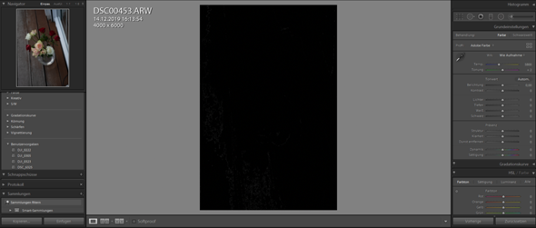 Lightroom zeigt nur schwarzes Vorschaubild?