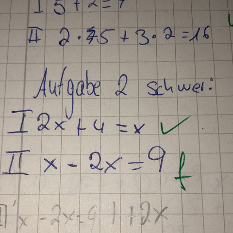 Meine (z.T. falsche) Lösung - (Schule, Mathematik, Gleichungen)