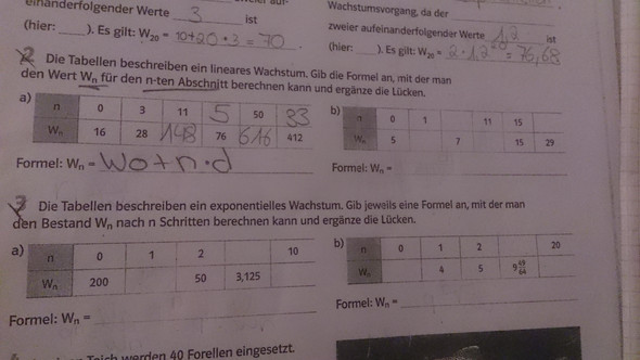 Aufgabe 2B und 3 a und b - (Mathematik, Exponentielles)