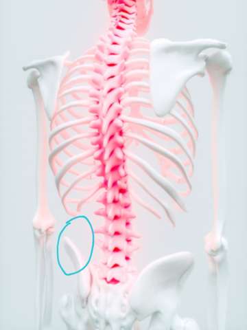 Links Unten Ruckenschmerzen Medizin Schmerzen Rucken Links Unten Ruckenschmerzen Medizin Schmerzen Rucken