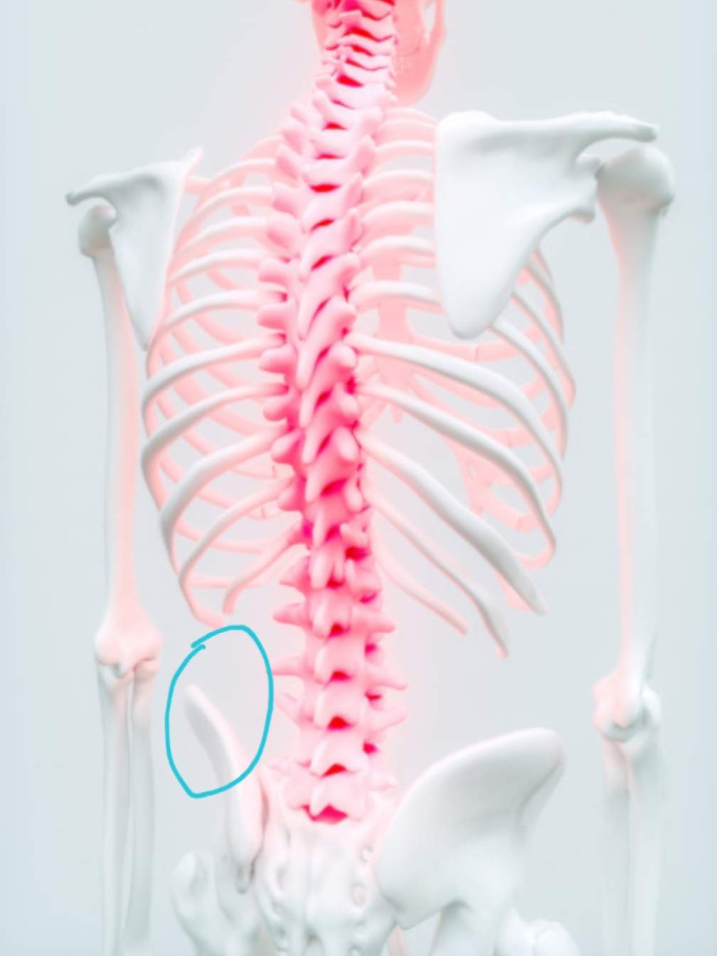 Schmerzen Im Unteren Rücken Links - Captions Beautiful