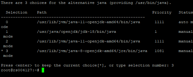 Linux Java Version ändern? (Computer, Technik, Spiele und Gaming)