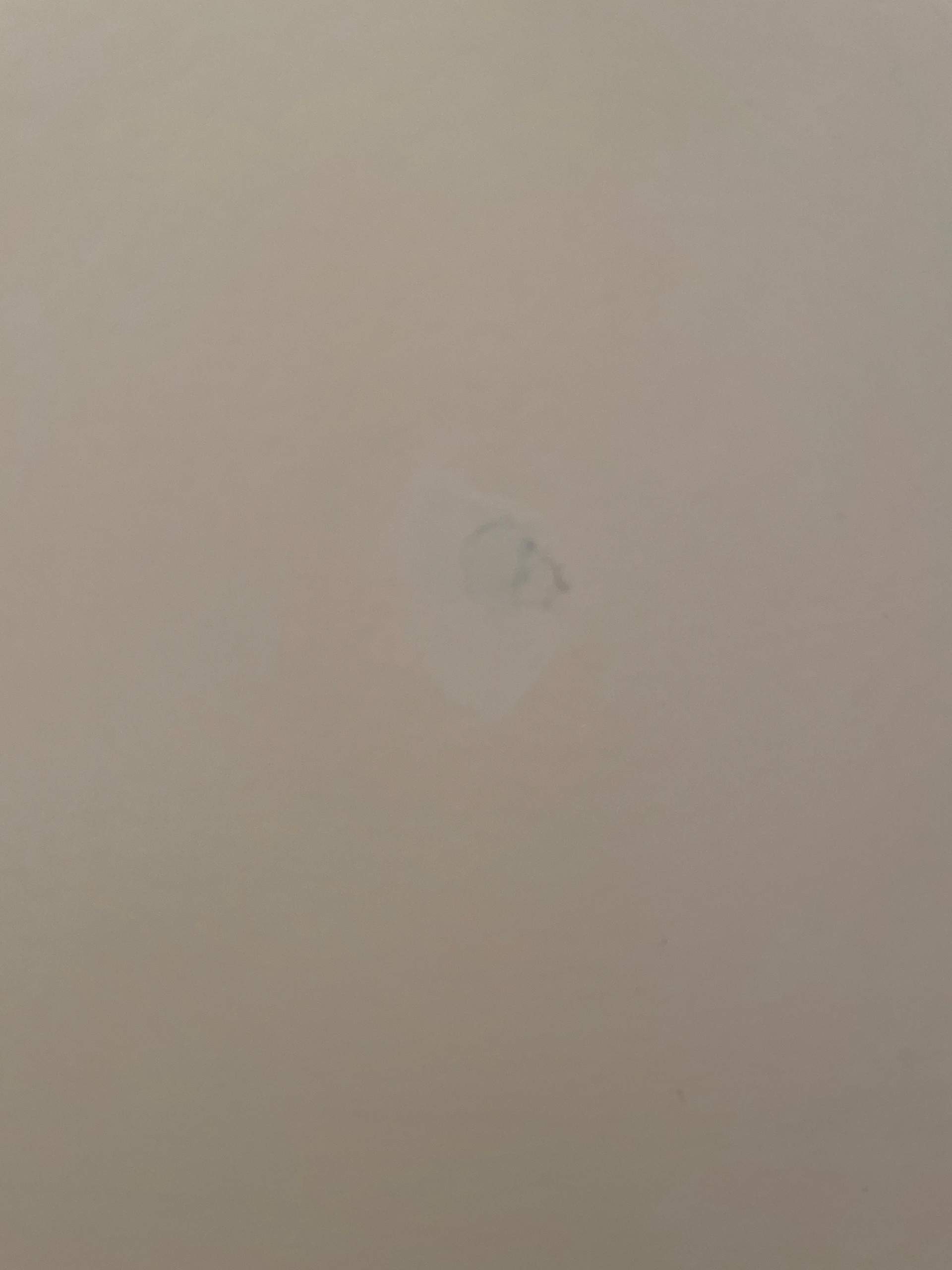 Loch in Holztür Tischler? (Reparatur, Handwerk, Holz)