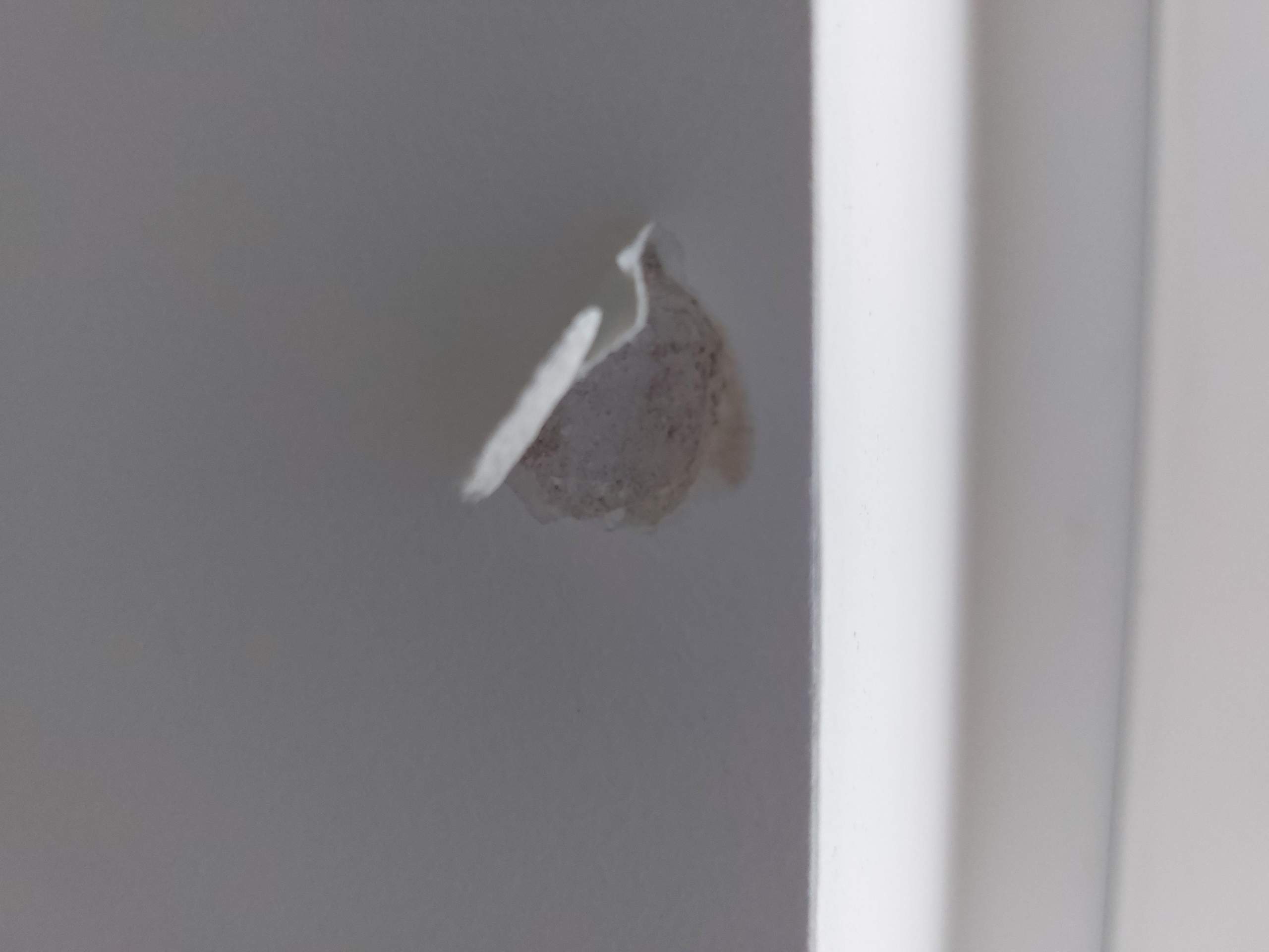 Löcher in der Tapete reparieren? (Reparatur, Wand, tapezieren)