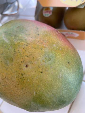 Löcher in einer Mango?