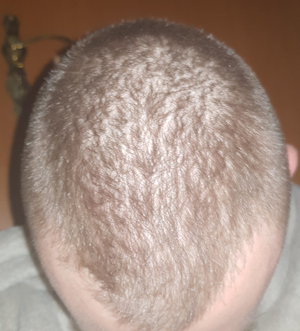 Haar 20 lichtes mit Graue Haare