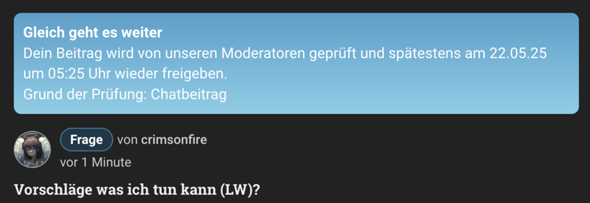 Bild zum Beitrag