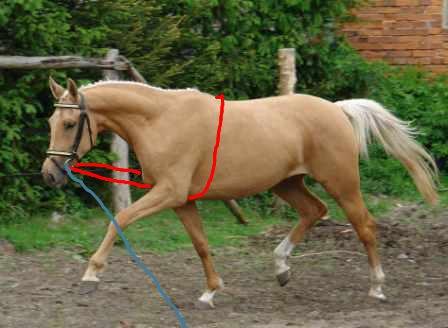 Gute frage frage stellen Gute frage frage stellen