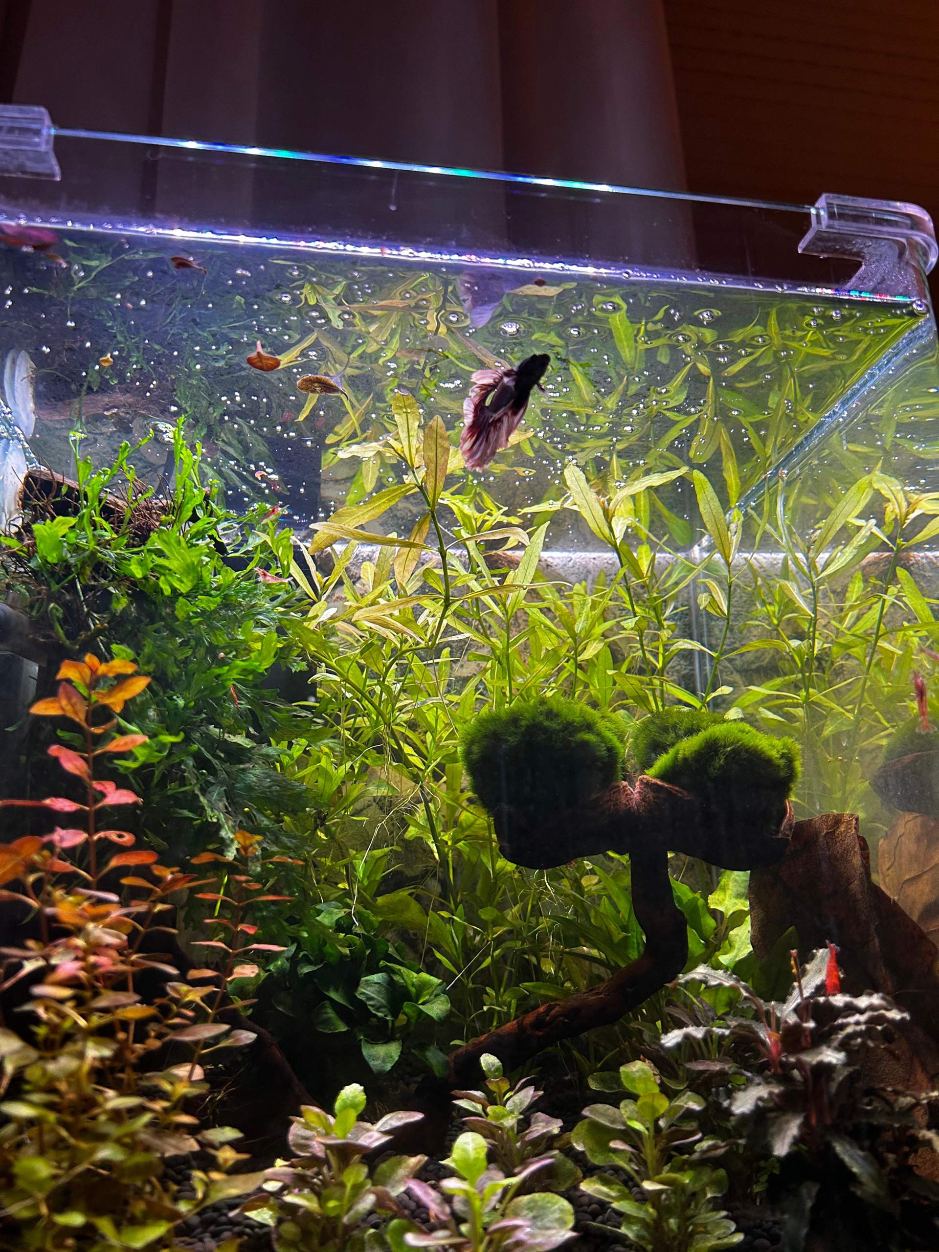 Luftblase Stein Aquarium Belüfter Pumpe Hydrokultur Sauerstoff