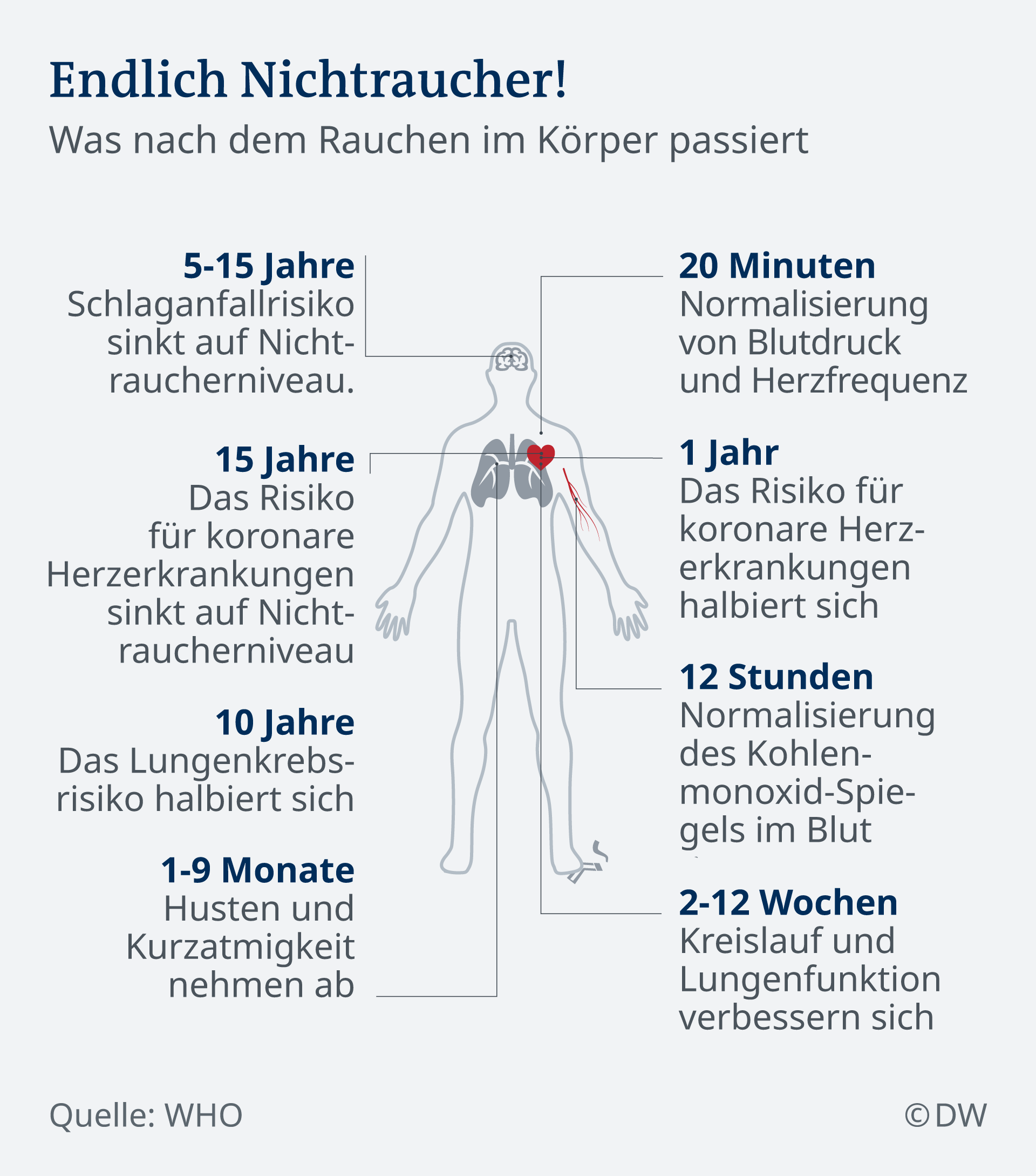 Lungen Und Korperregeneration Nach Rauchen Beschleunigen Gesundheit Und Medizin Gesundheit Raucher Lungen Und Korperregeneration Nach Rauchen Beschleunigen Gesundheit Und Medizin Gesundheit Raucher