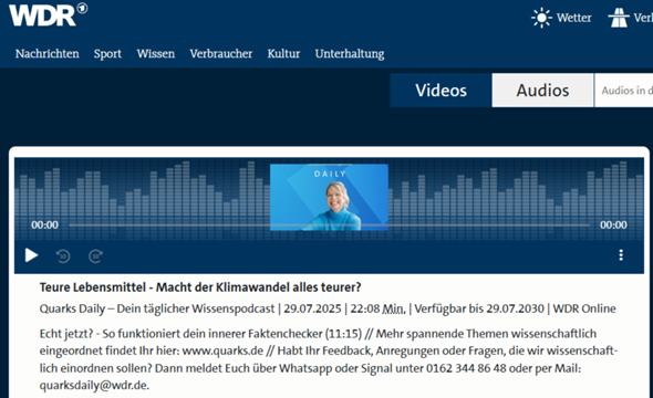 Bild zum Beitrag