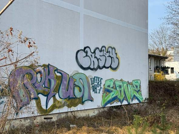 Bild zum Beitrag