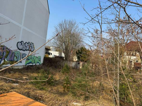 Bild zum Beitrag