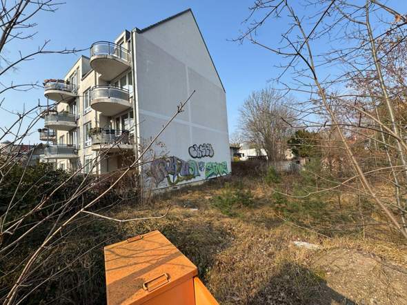 Bild zum Beitrag