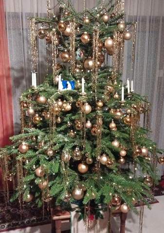 Bild zum Beitrag