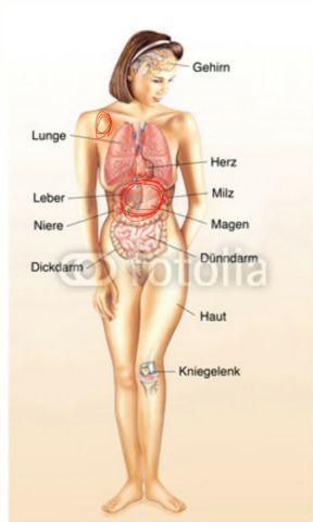 Magenschmerzen Und Ziehen Bis In Die Schulter Schmerzen Magen Magenschmerzen Und Ziehen Bis In Die Schulter Schmerzen Magen