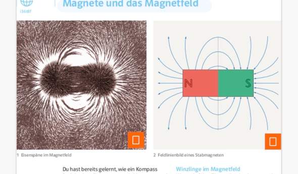 Bild zum Beitrag