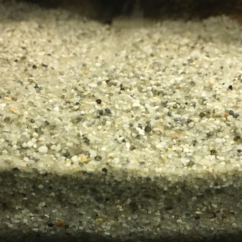 Der Sand, ist das "Beige Aquariumsand"? - (Aquarium, Aquaristik, malawibecken)