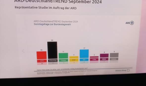 Bild zum Beitrag