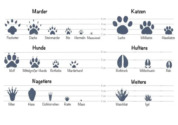 Bild zum Beitrag