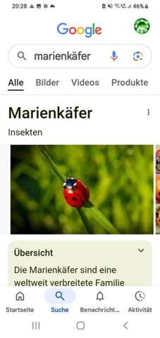 Bild zum Beitrag