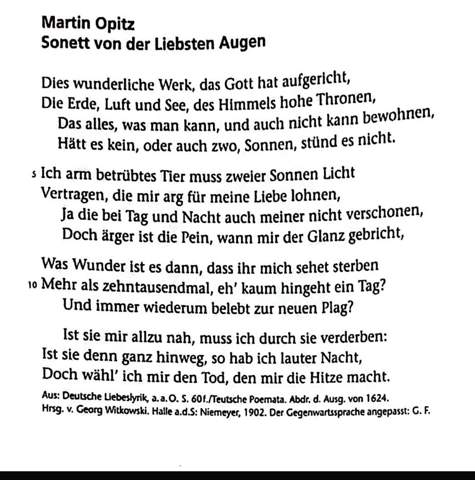 Martin Opitz Gedichtsanalyse? (Schule, Deutsch, Gedicht)