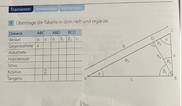 Mathe Aufgabe. Trigonometrie. Kann mir jemand helfen?