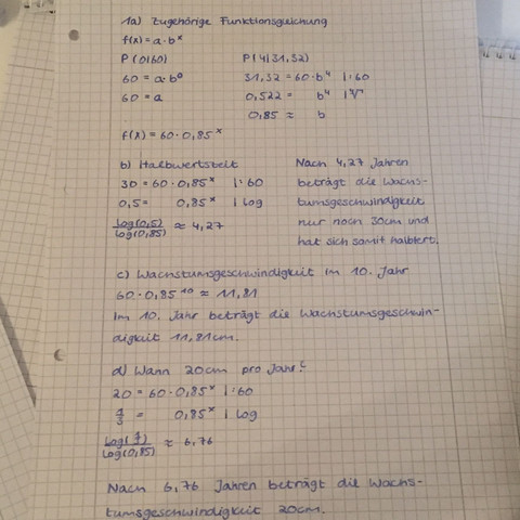 Aufgabenblatt 1 - (Schule, Mathematik, Formel)
