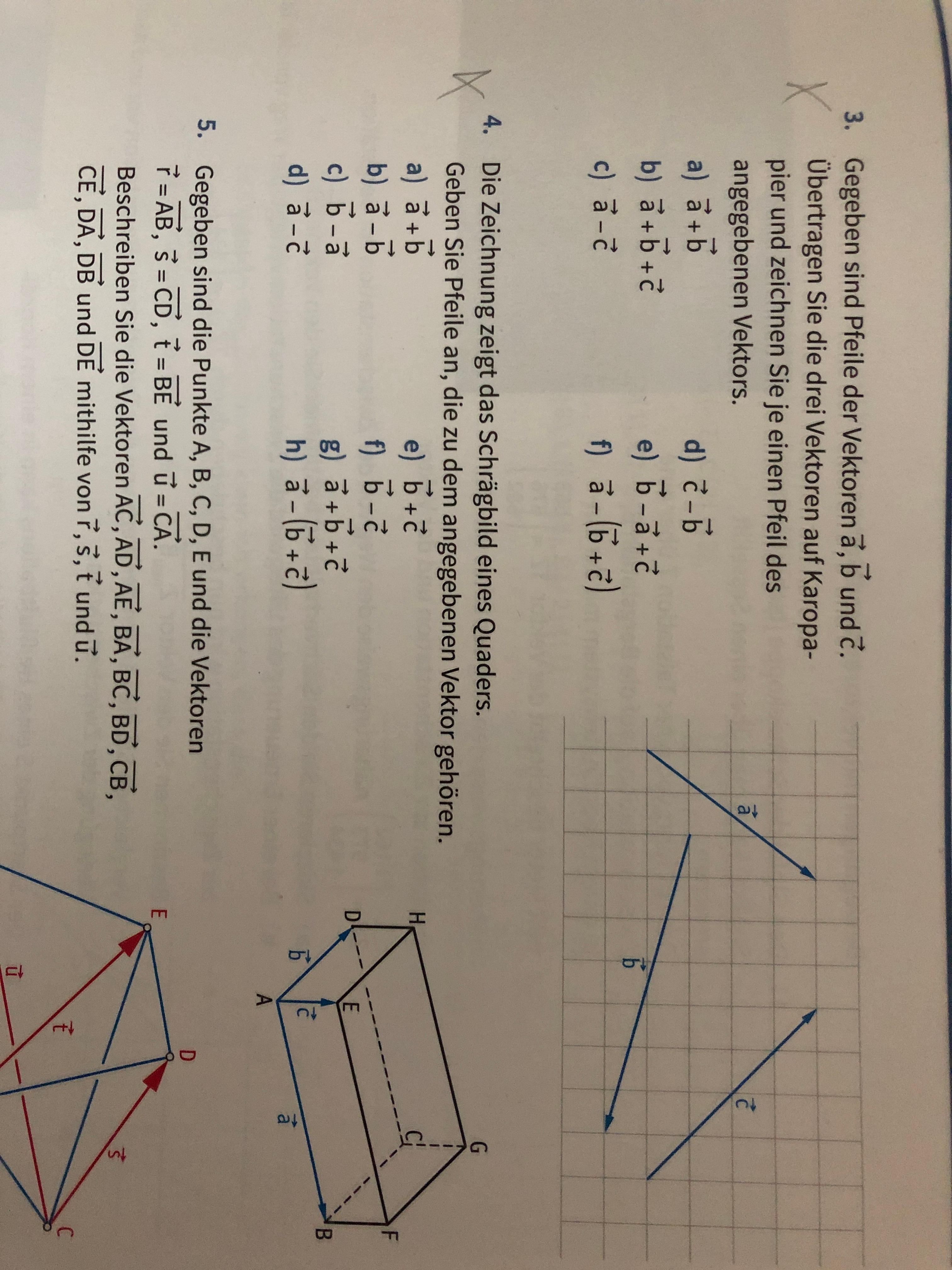 Mathe Vektoren Pfeile Zeichnen Schule Hausaufgaben