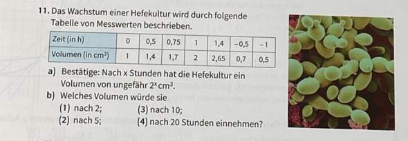 Bild zu Frage