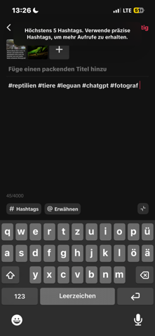 Bild zum Beitrag