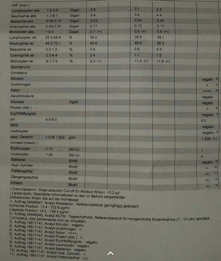 Medizin Wer Kennt Sich Mit Blutwerten Aus Hilfe Gesundheit Und Medizin Gesundheit Krankheit Medizin Wer Kennt Sich Mit Blutwerten Aus Hilfe Gesundheit Und Medizin Gesundheit Krankheit