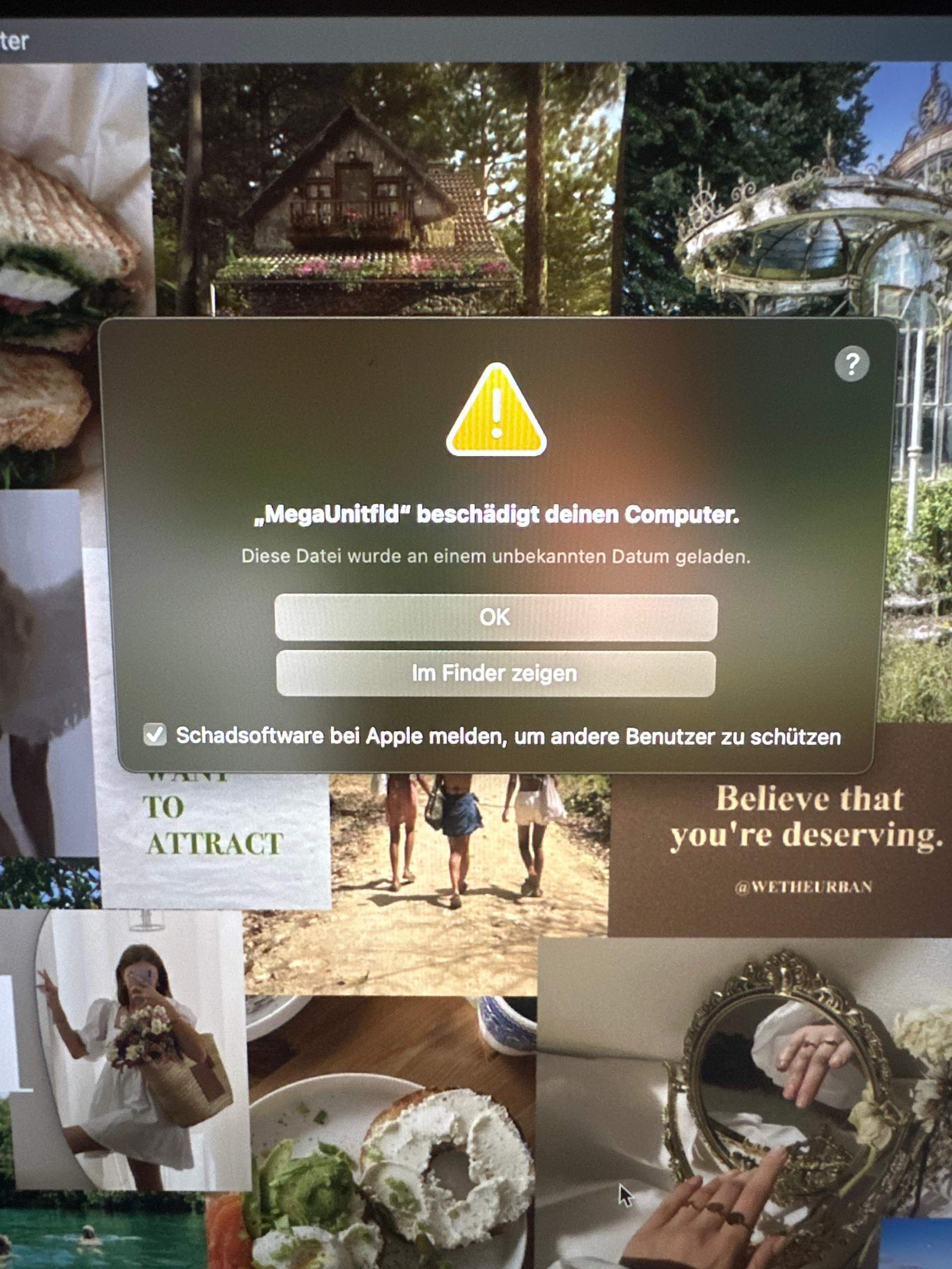 Mac Du Hast Deinen Computer Aufgrund Eines Problems Ausgeschaltet „MegaUnitfld“ beschädigt deinen Computer? (Apple, MacBook Pro)