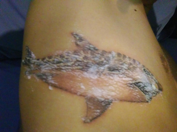 Der Hai - (Ausland, Tattoo, tätowieren)